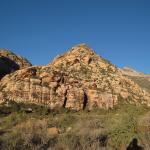 IMG_1824.JPG
