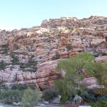 IMG_1826.JPG
