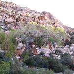 IMG_1828.JPG
