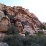 IMG_1830.JPG