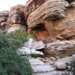 IMG_1832.JPG