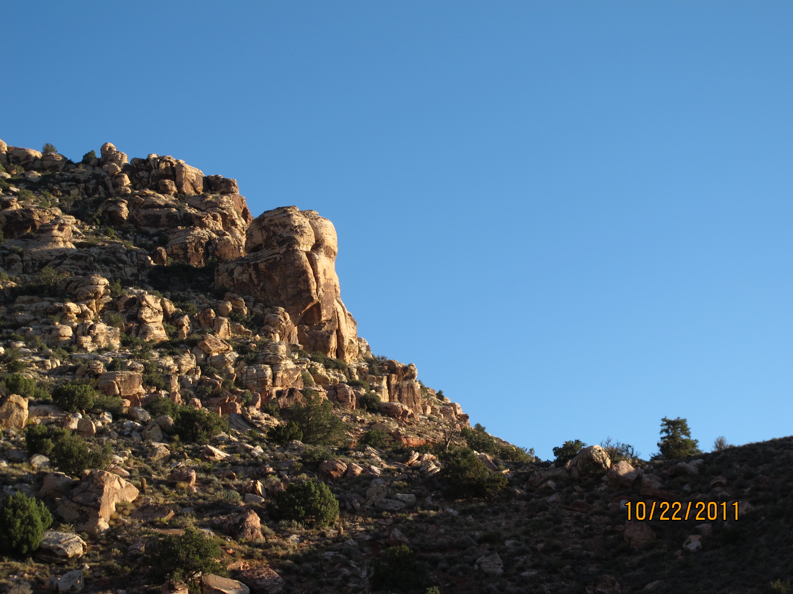 IMG_1844.JPG