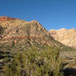 IMG_1858.JPG