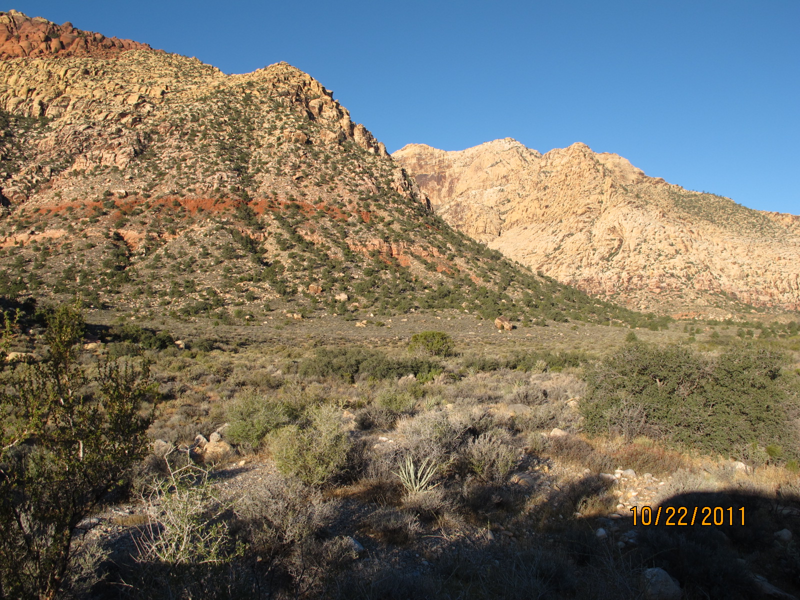 IMG_1860.JPG