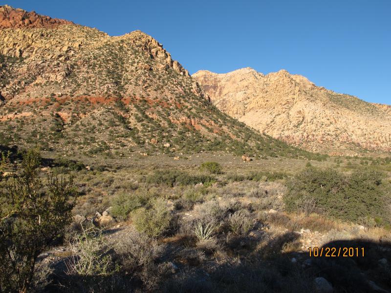 IMG_1860.JPG