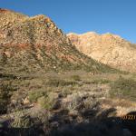 IMG_1860.JPG