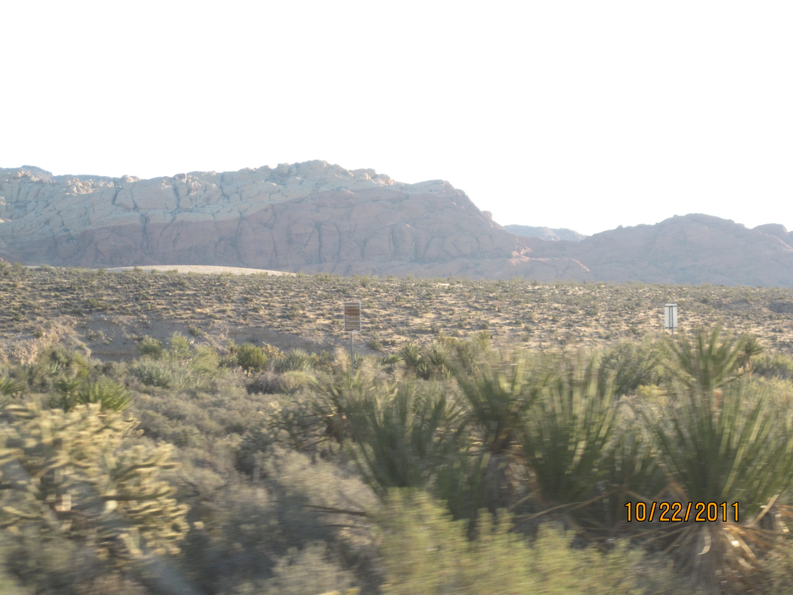 IMG_1861.JPG