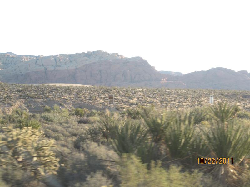 IMG_1861.JPG