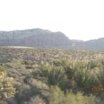 IMG_1861.JPG