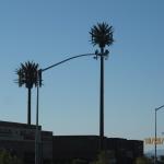 IMG_1874.JPG