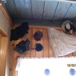 IMG_2285.JPG