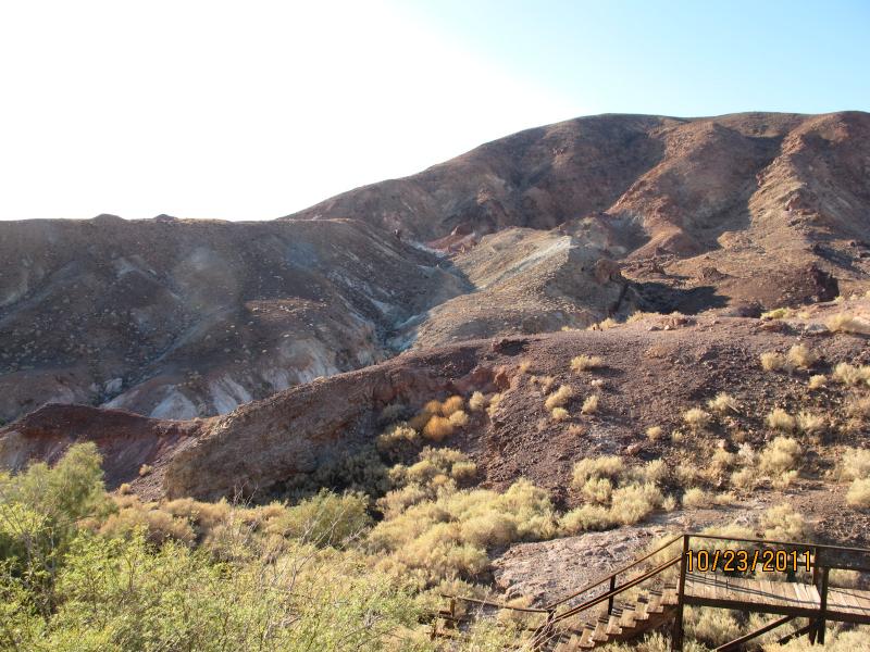 IMG_2313.JPG