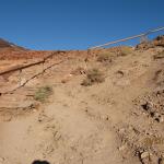 IMG_2333.JPG