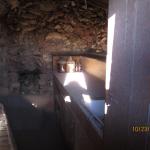 IMG_2367.JPG