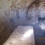IMG_2368.JPG