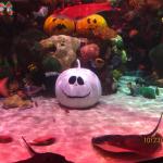 IMG_2252.JPG