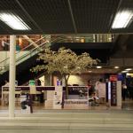 IMG_8664.JPG