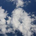 IMG_8733.JPG