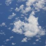 IMG_8734.JPG