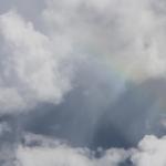 IMG_8745.JPG