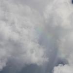IMG_8746.JPG