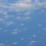IMG_8763.JPG