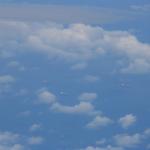 IMG_8764.JPG