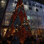 IMG_8809.JPG