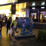IMG_8812.JPG