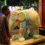 IMG_8819.JPG