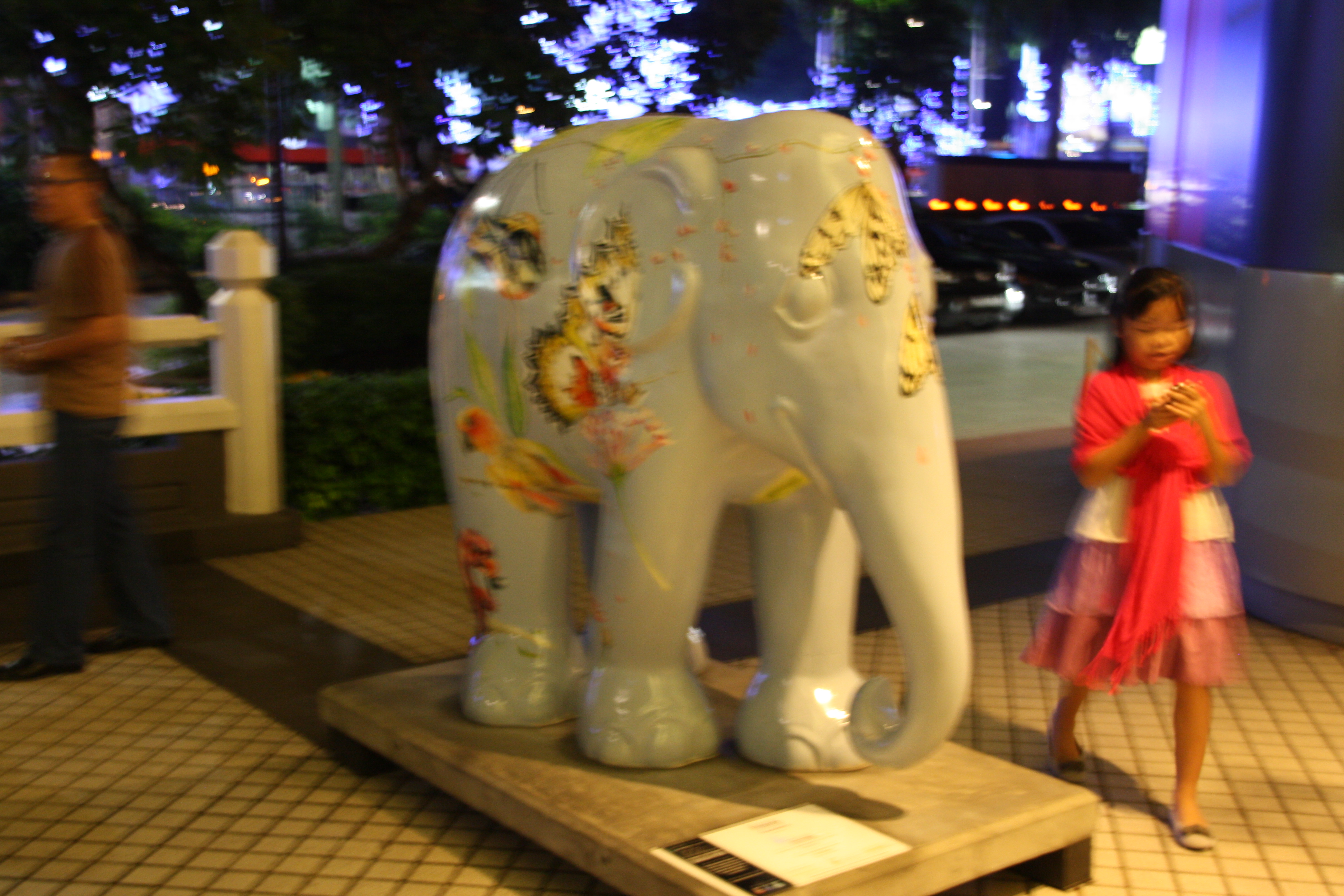 IMG_8823.JPG