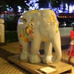 IMG_8823.JPG