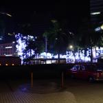 IMG_8824.JPG