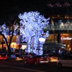 IMG_8826.JPG