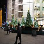 IMG_8871.JPG