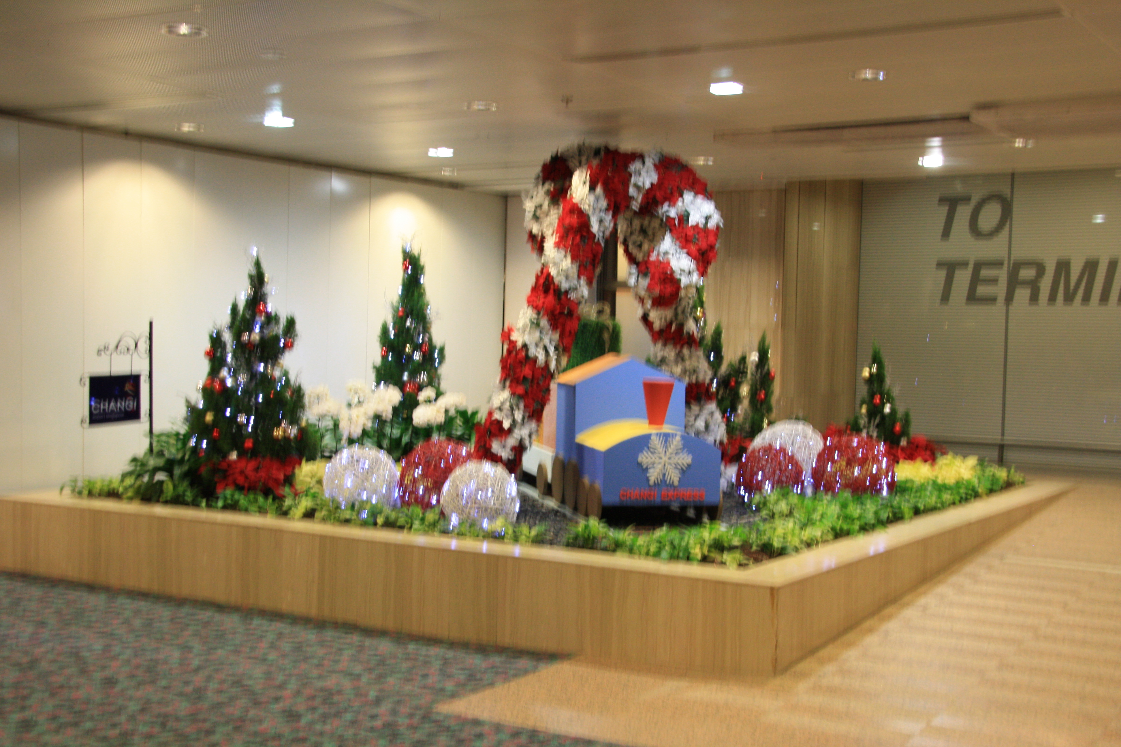 IMG_8957.JPG
