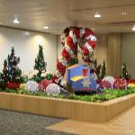 IMG_8957.JPG