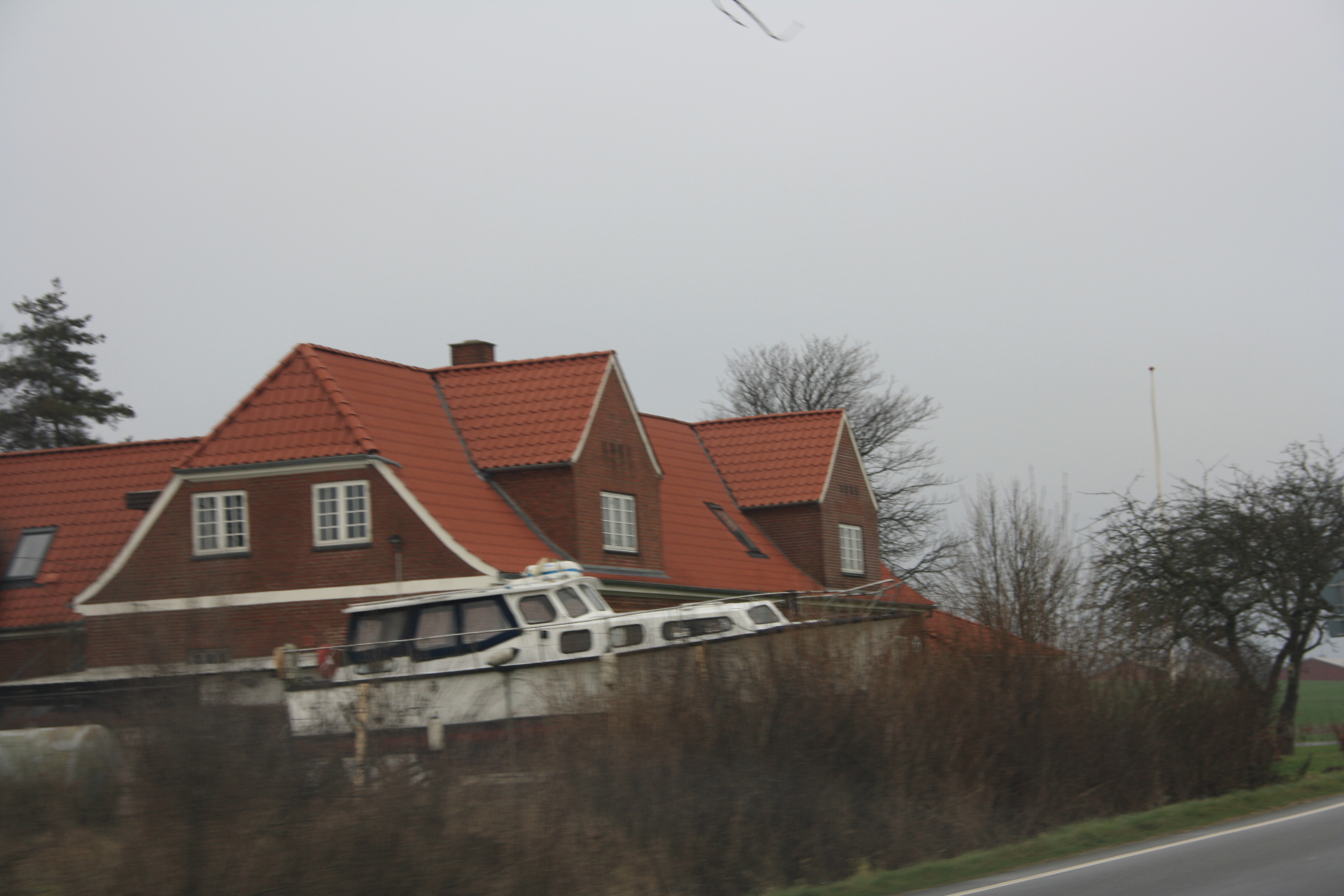 IMG_9390.JPG