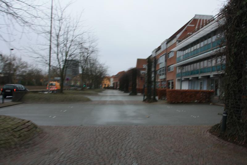 IMG_9153.JPG