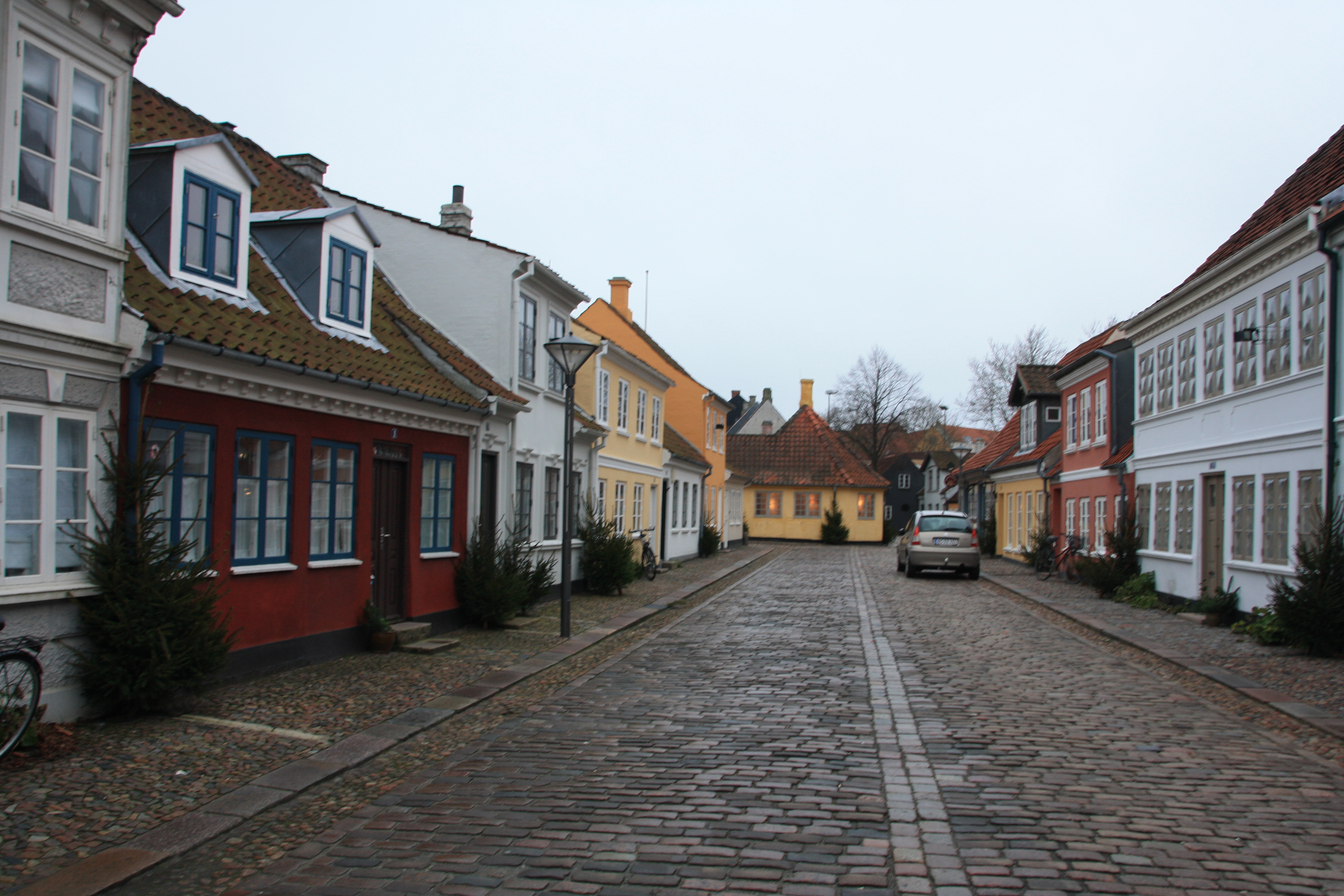 IMG_9175.JPG