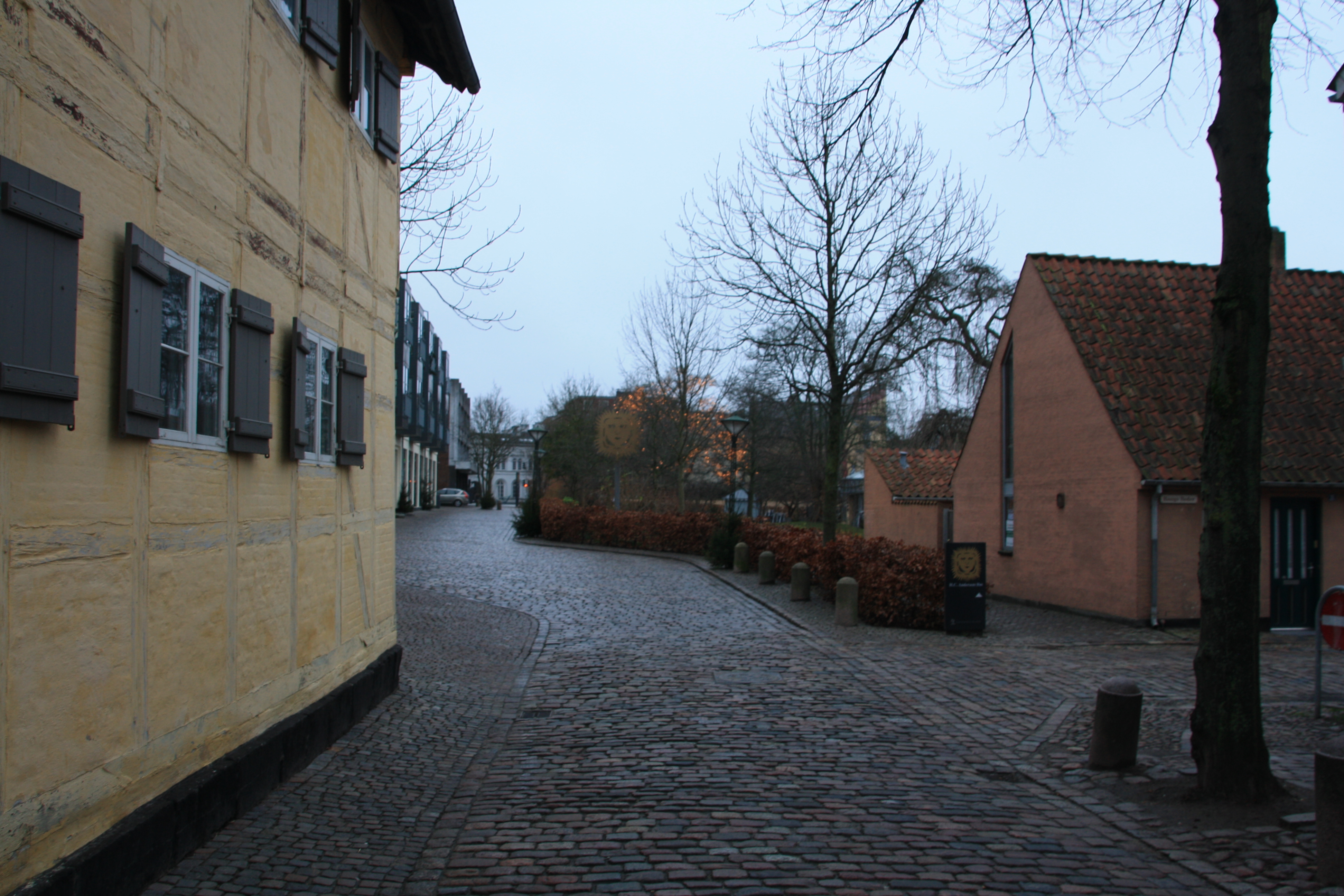 IMG_9184.JPG