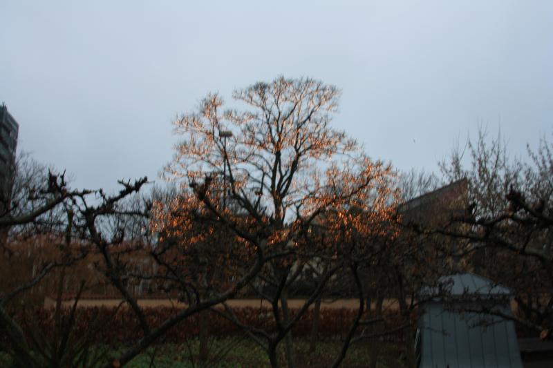 IMG_9186.JPG