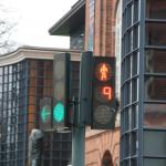 IMG_9317.JPG