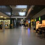 IMG_9336.JPG