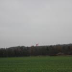 IMG_9341.JPG