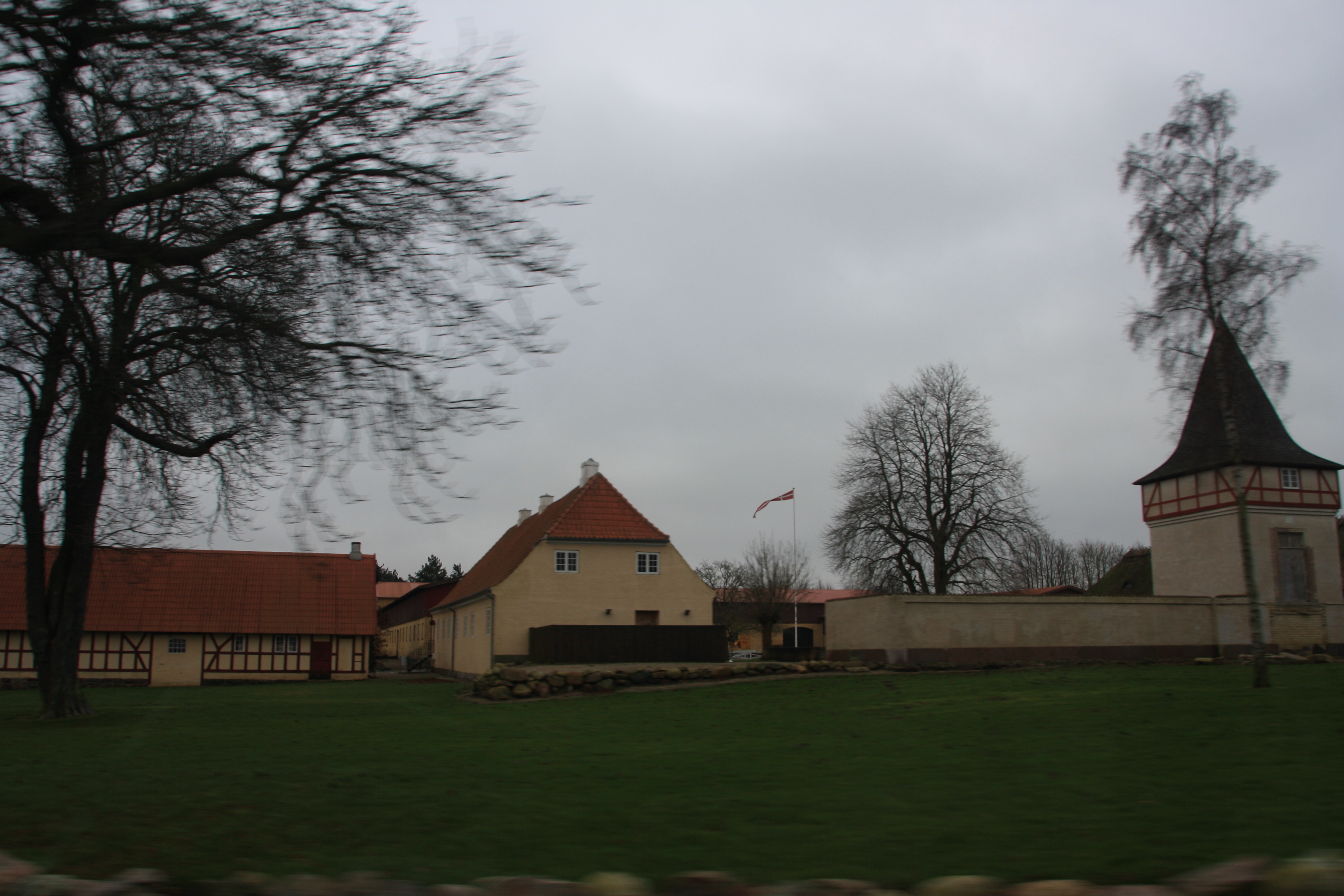 IMG_9347.JPG