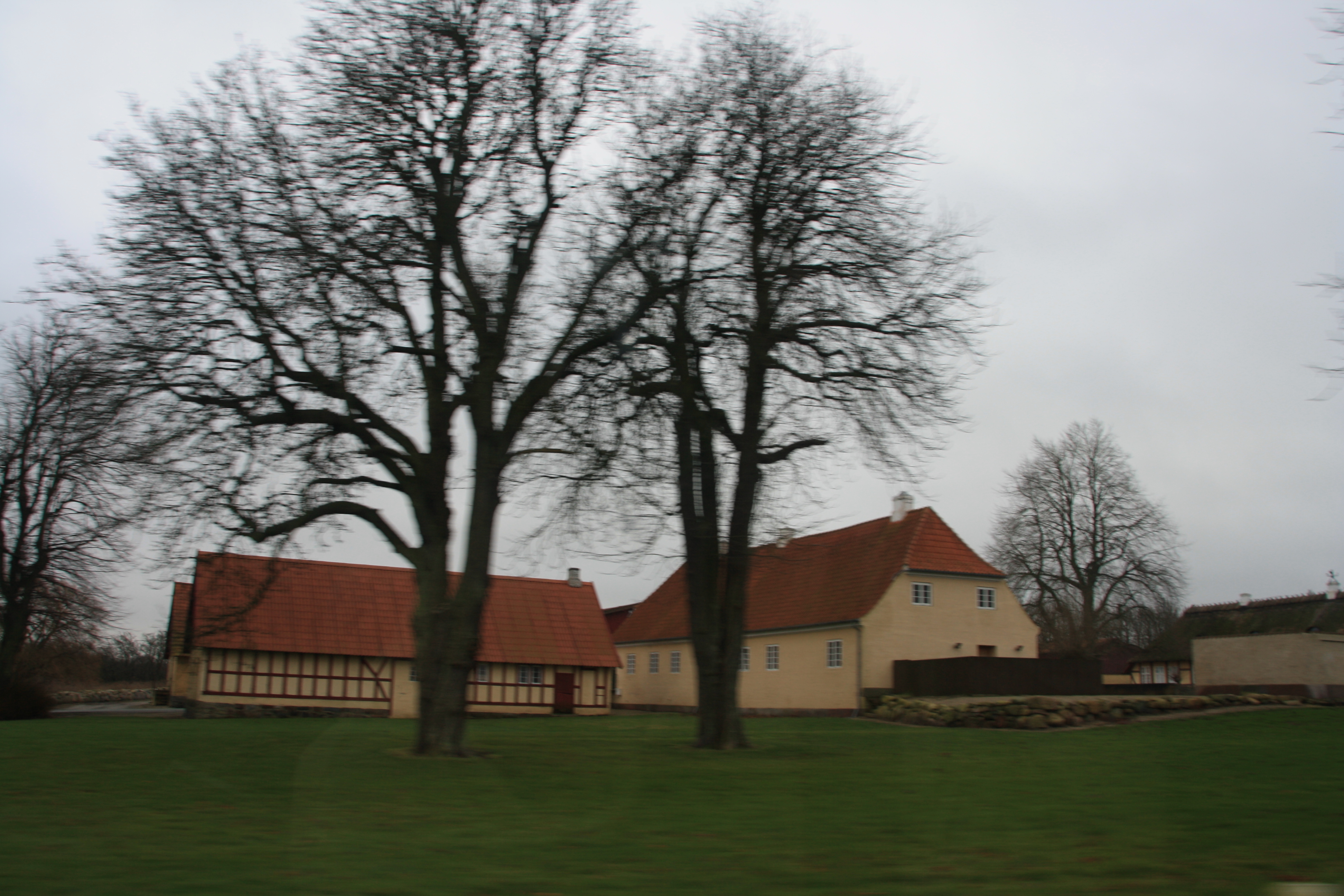 IMG_9348.JPG