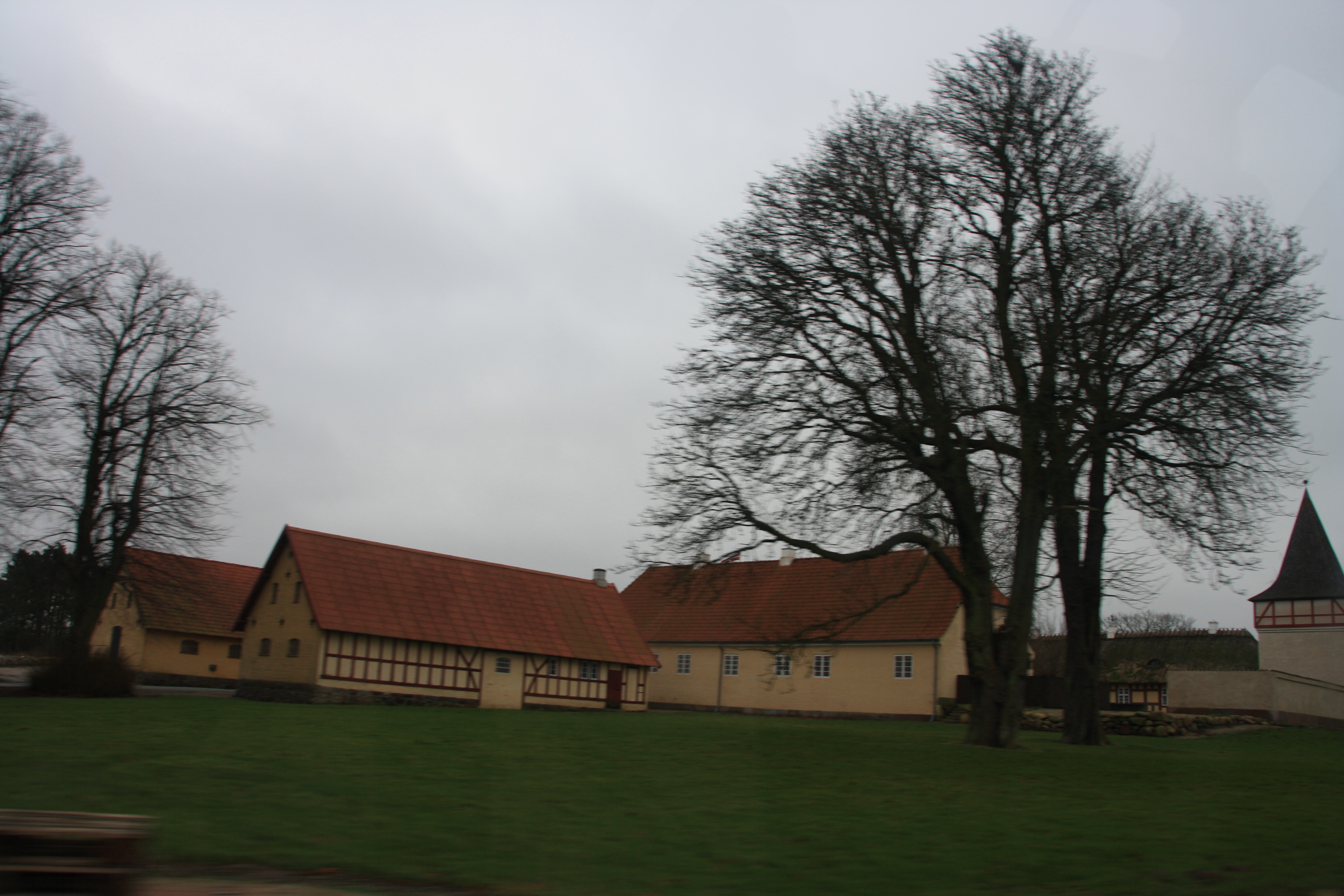 IMG_9349.JPG