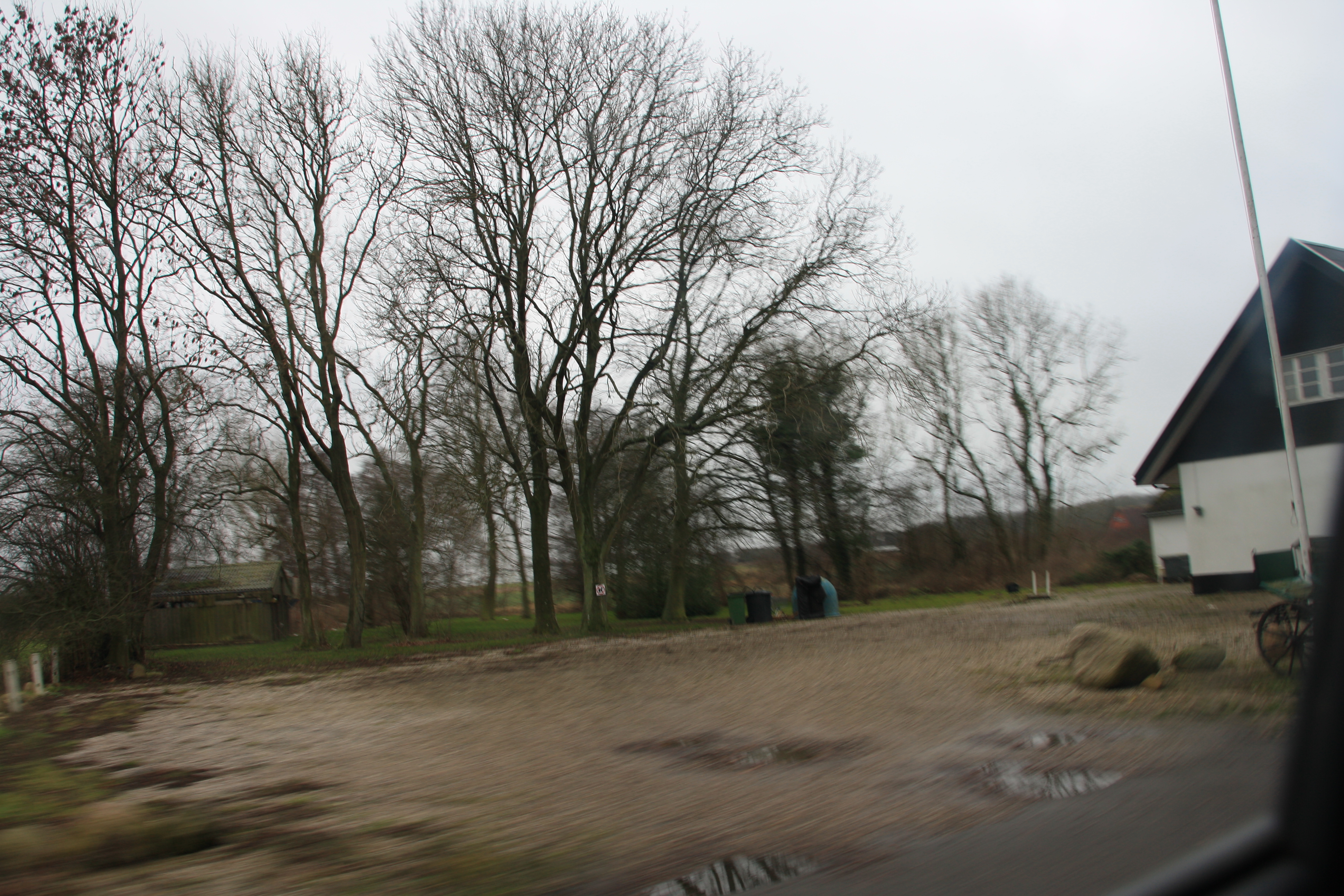 IMG_9352.JPG