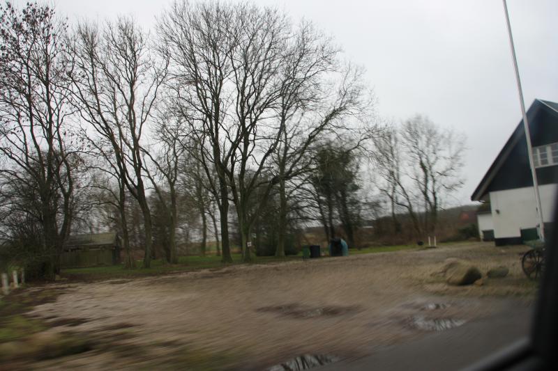 IMG_9352.JPG